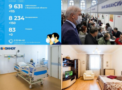Коронавирус в Воронеже 15 июля: +115 зараженных, тотальная безработица и перепрофилирование коек