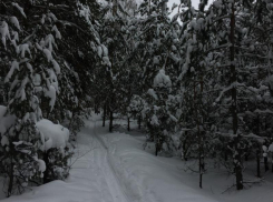 Январь показал воронежцам классическую зиму с полуметровыми сугробами 