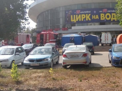 Воронежцев испугало скопление спецслужб у цирка 