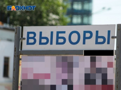 Названо число воронежцев, которые протестируют онлайн-голосование на выборах в Госдуму