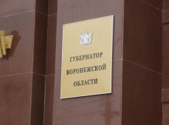Стало известно, почему губернатор отменил планерку в воронежском правительстве