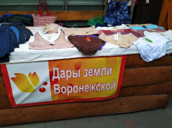 Трусами-дарами прославилась земля Воронежская