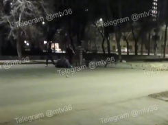 «Спокойно сидели и понеслось»: потасовка на глазах у прохожих произошла в Воронеже