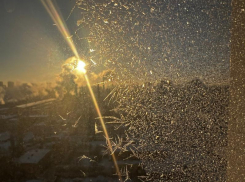 С 23-градусных морозов начнется первая рабочая неделя года в Воронежской области  