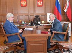 О появлении грандиозного спорткомплекса в Воронеже стало известно после встречи Гусева с Саутиным