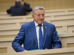 В насыщенной актуальными вопросами сессии Совфеда проявил активность воронежский сенатор 