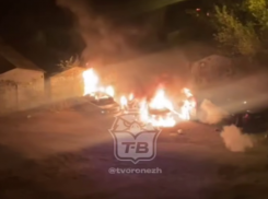 Три автомобиля уничтожены огнём в Коминтерновском районе Воронежа