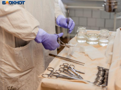 Пятеро воронежцев пострадали от укусов клещей 