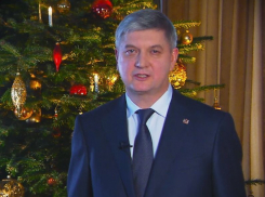 Глава региона Александр Гусев поздравил воронежцев с Новым годом и Рождеством