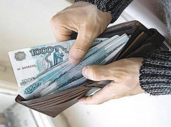 В Воронежской области средняя зарплата выросла на 13%