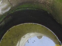 В Воронеже в подземных водах нашли нефтепродукты