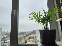 Авиационную опасность объявили в Воронежской области