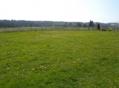 Аналитики назвали стоимость загородных участков в Воронеже