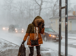 Синоптики на сутки продлили желтый уровень опасности в Воронеже