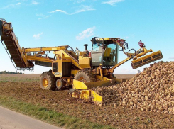 Сахарный завод в Воронежской области едва не угробил отходами плодородное поле