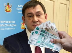 Как и за чей счёт сказочно богатеет областная Дума Нетёсова