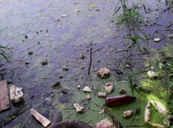 Воронежские экоактивисты нашли еще один сброс отходов в водохранилище