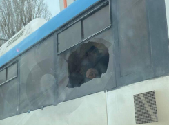 Автобус с «проветриванием» обнаружили в Воронеже