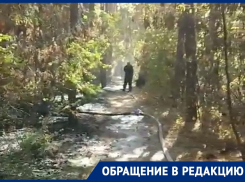 «Спасибо пожарным»: что стало с парком после огненного бедствия в Воронеже 