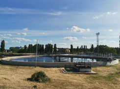 Вонь от воронежских ЛОСов расстреляют из пушки биопрепаратами