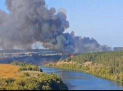 Четвертый пожар за день разгорелся в Воронеже - опубликовано видео