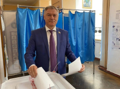 Как руководство Воронежской облдумы голосовало на выборах в Госдуму