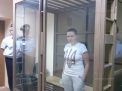 Надежда Савченко может стать фигуранткой нового уголовного дела 
