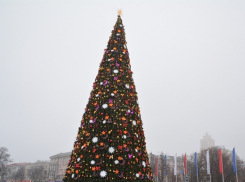 Как в Воронеже будут праздновать Новый год 2015 (Программа)