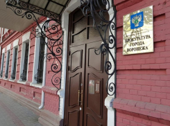 Украденную землю в центре Воронежа выставили на «Авито»