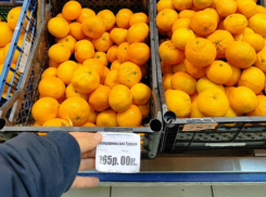 ФАС призвала сети супермаркетов к «добросовестности» перед новогодним ажиотажем 