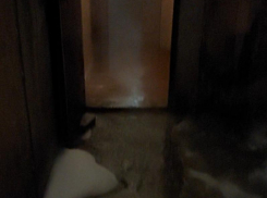 «Как нам выжить в эти морозы ночью?» – целый дом остался без отопления в Воронеже