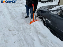 Министр призвал воронежцев взяться за лопаты