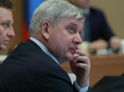 Губернатор разрешил работать некоторым организациям и ИП в Воронежской области 