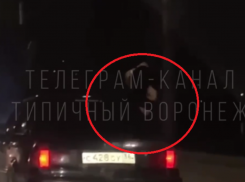 Телепающаяся полураздетая девушка стала головной болью для водителя Audi в Воронеже 