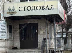 Об агрессивных собаках сообщили воронежцы