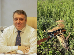 Директор воронежской школы похвастался убитым животным в соцсети