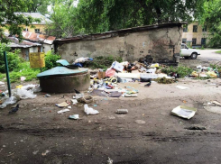 По вине «укашек» Коминтерновский район Воронежа погряз в мусоре