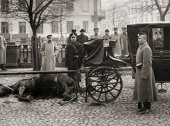 Сельская учительница 114 лет назад совершила покушение на жизнь воронежского губернатора