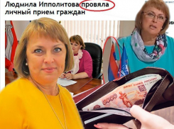 Воронежская педиатр-«единоросс» Ипполитова в политике не богатеет, а плодит казусы