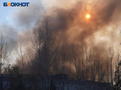 Особый противопожарный режим отменен в Воронежской области