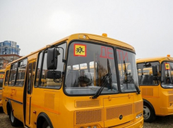 Бесплатный школьный автобус стал яблоком раздора в Воронеже