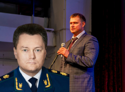 Генеральная прокуратура разберётся, почему семикратный чемпион мира Горобий в роли чиновника допустил скандал в спортивной сфере Воронежа