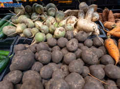 Радоваться не стоит, но и огорчаться тоже: как дела у воронежских аграриев в 2025 году