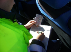 В Воронежской области бизнес-леди накопила штрафов ГИБДД на 170 тысяч рублей