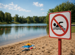 В Воронежской области выявили шесть опасных для купания водоемов перед началом сезона
