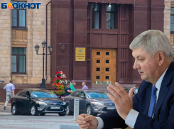 Автомойку с трехцветной пеной покупают за 4 млн для гаража воронежского правительства