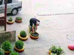 Гнусный поступок пожилой дамы вывел из себя жителей Воронежа