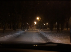 Воронежцы похвастались на видео, как разъезжают на авто по тротуарам парка в центре города