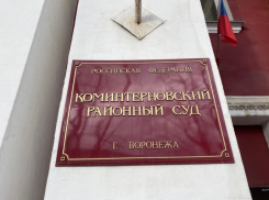 Судью Александра Яковлева прочат в председатели Коминтерновского райсуда Воронежа