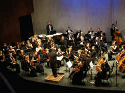 Воронежский Молодежный симфонический оркестр даст юбилейный концерт 